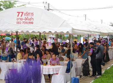 กลุ่มส่งเสริมและพัฒนาธุรกิจสหกรณ์ ... พารามิเตอร์รูปภาพ 10